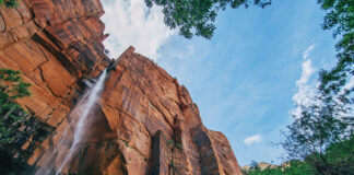 How to Live in a Shoebox